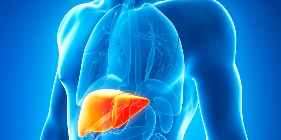 If You Want To Boost Your Fertility, Take Good Care Of Your Liver