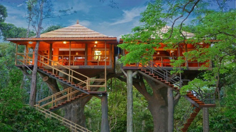 5 Amazing Treehouse Getaways in Kerala