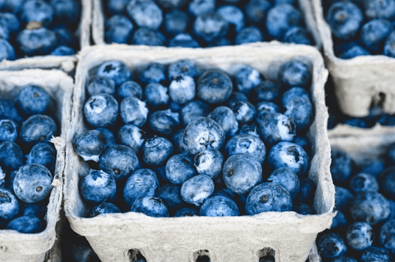 Want Better Focus And Memory? 10 Foods To Boost Your Brainpower