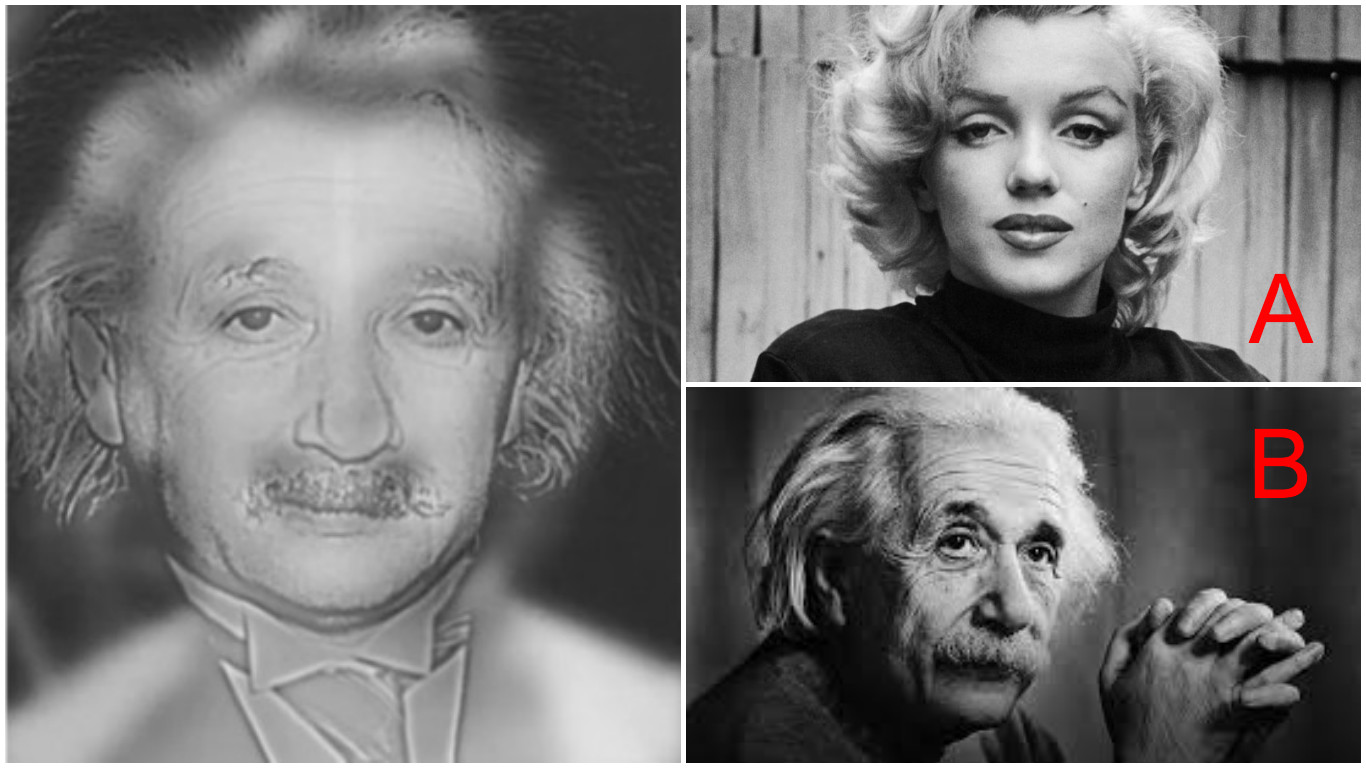 Do You See Marilyn Monroe or Albert Einstein? This Reveals How Good Your Eyesight Is
