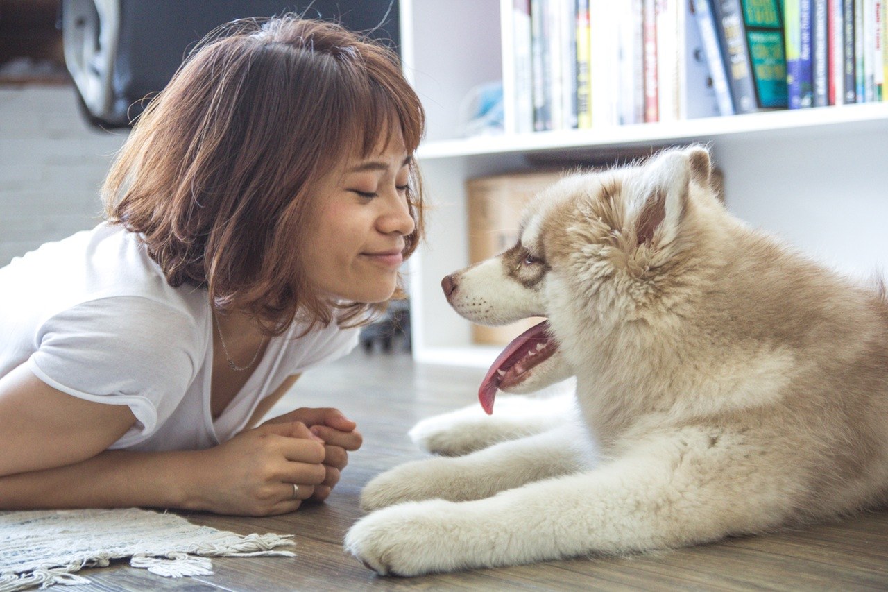 Keeping A Dog Can Help You Become The Best Version Of Yourself, Study Finds