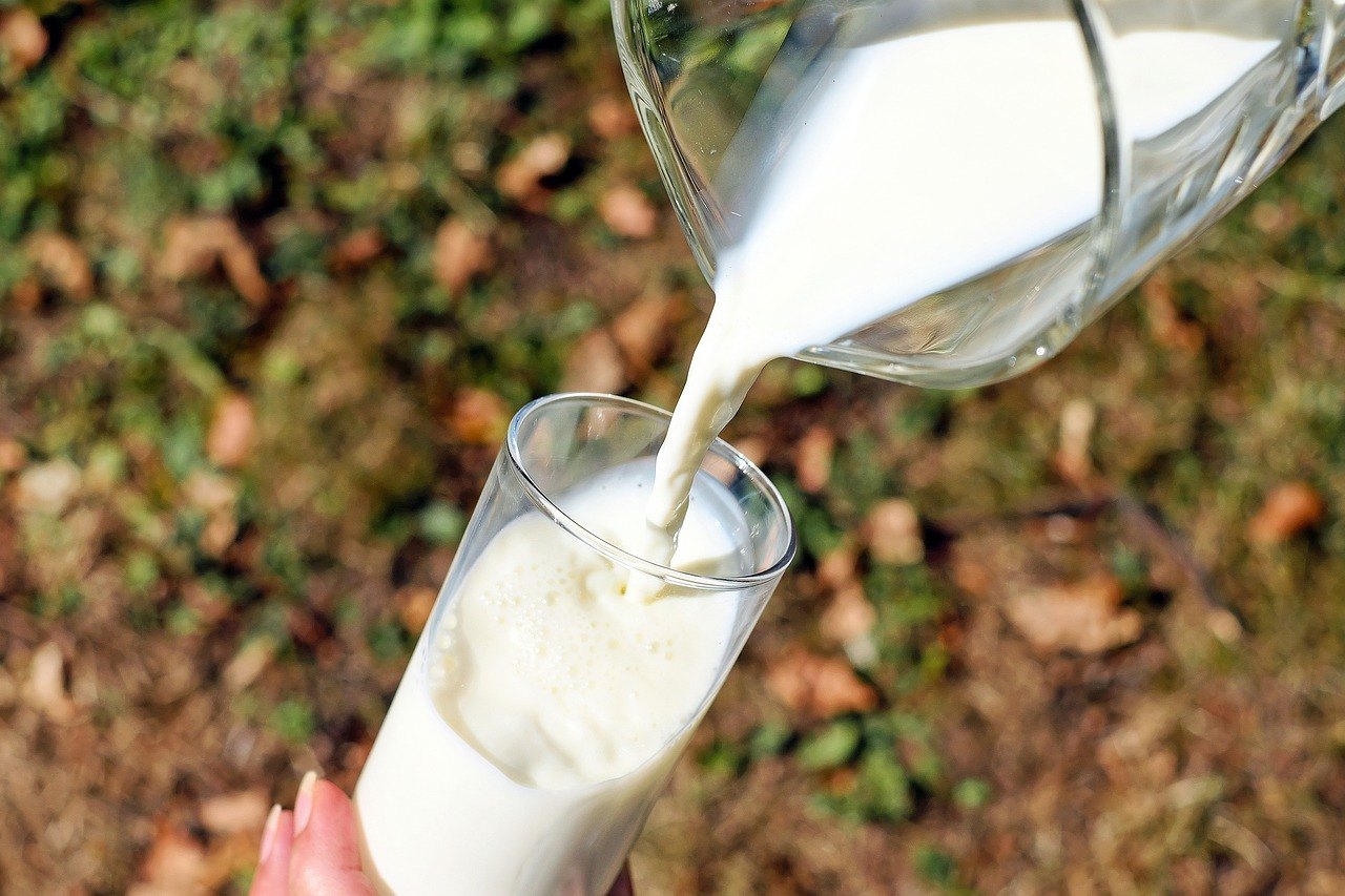 If You Think Eating Dairy Products Can Prevent Osteoarthritis, You Need To Read This