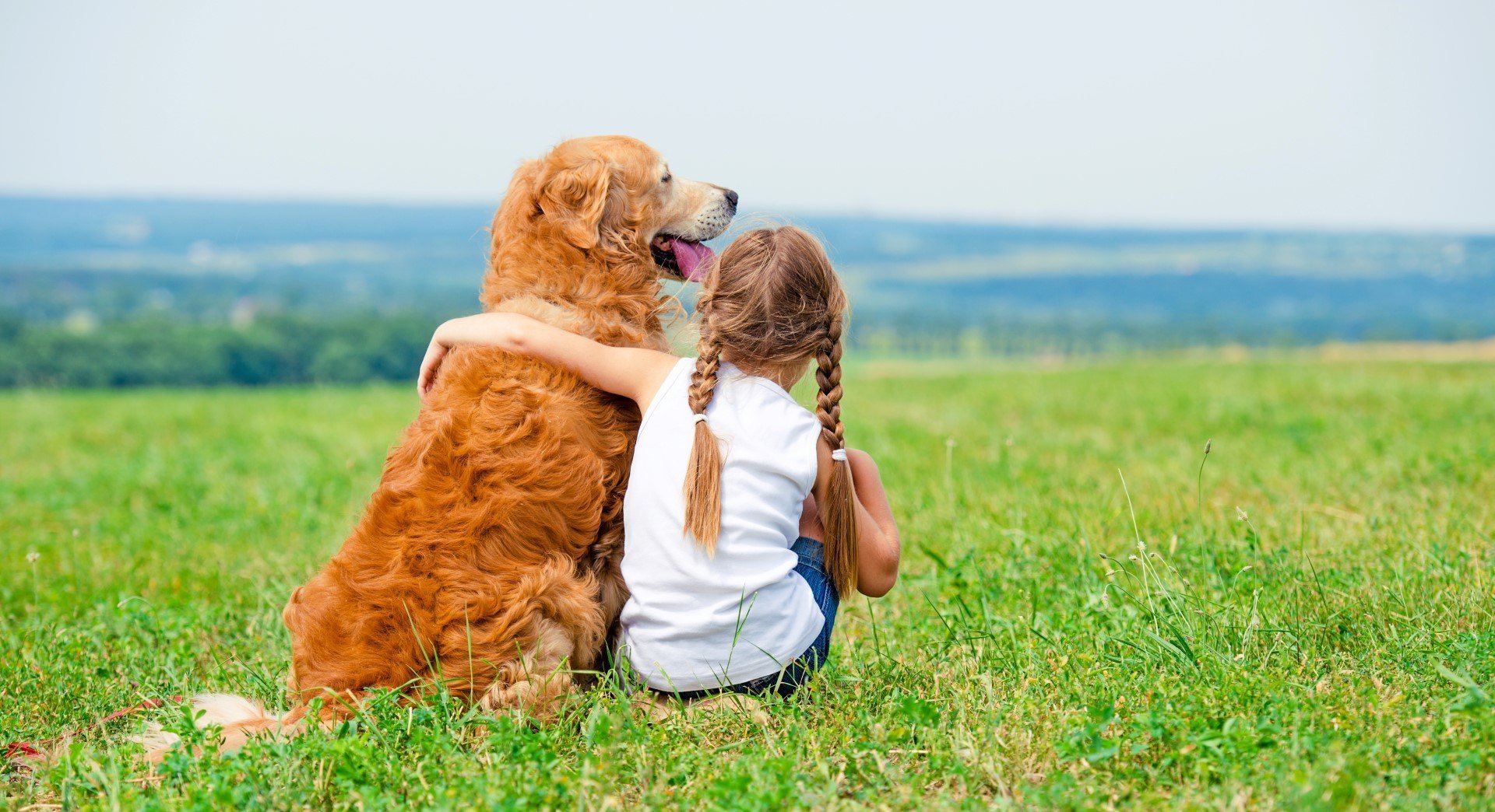 How to Have the Best Spring With Your Pets