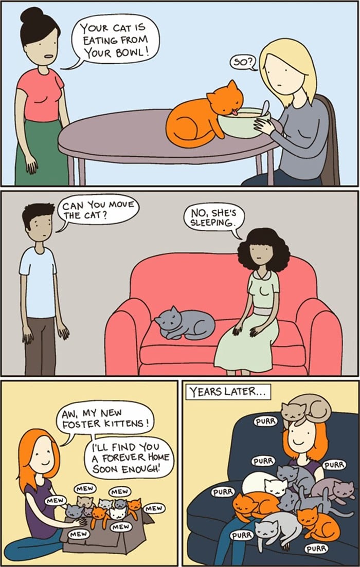 illustrations from sweet moments from living with a cat