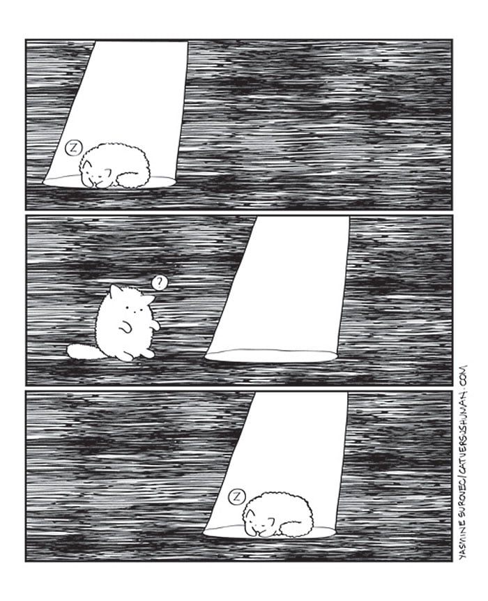 illustrations of sweet moments from living with a cat