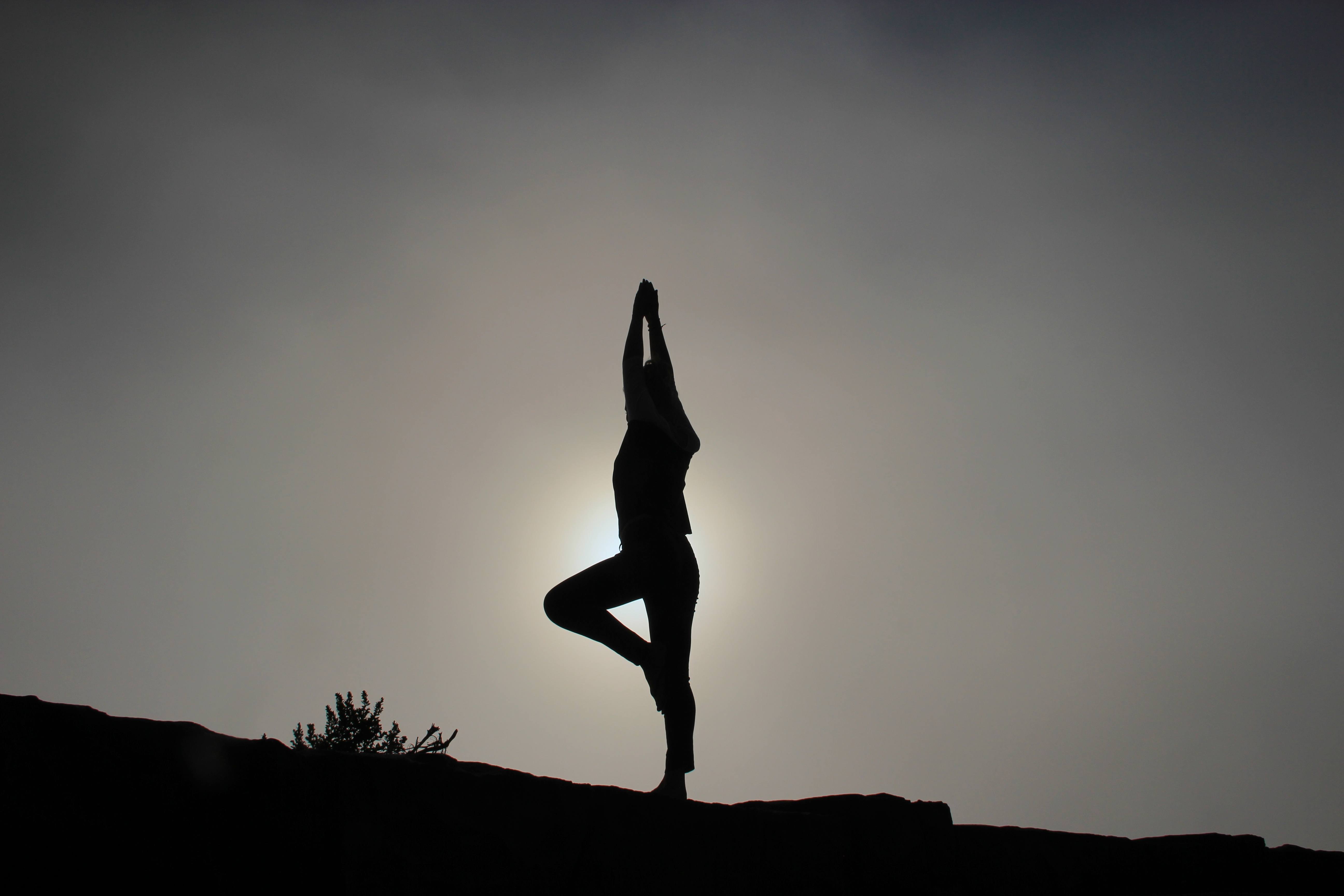 Milestone of Yoga Facts: Past to Present