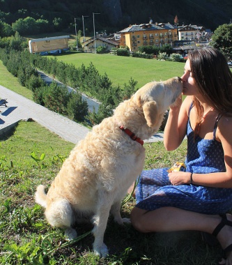 This Woman Restores Old Van To Travel Around The World With Her Rescue Dog