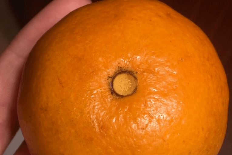 Next Time When You Eat An Orange, Check If This Interesting Trick Works