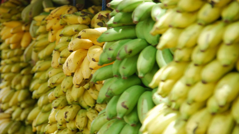 Which Is The Best Banana? Doctors Say It’s Not The One You Usually Choose
