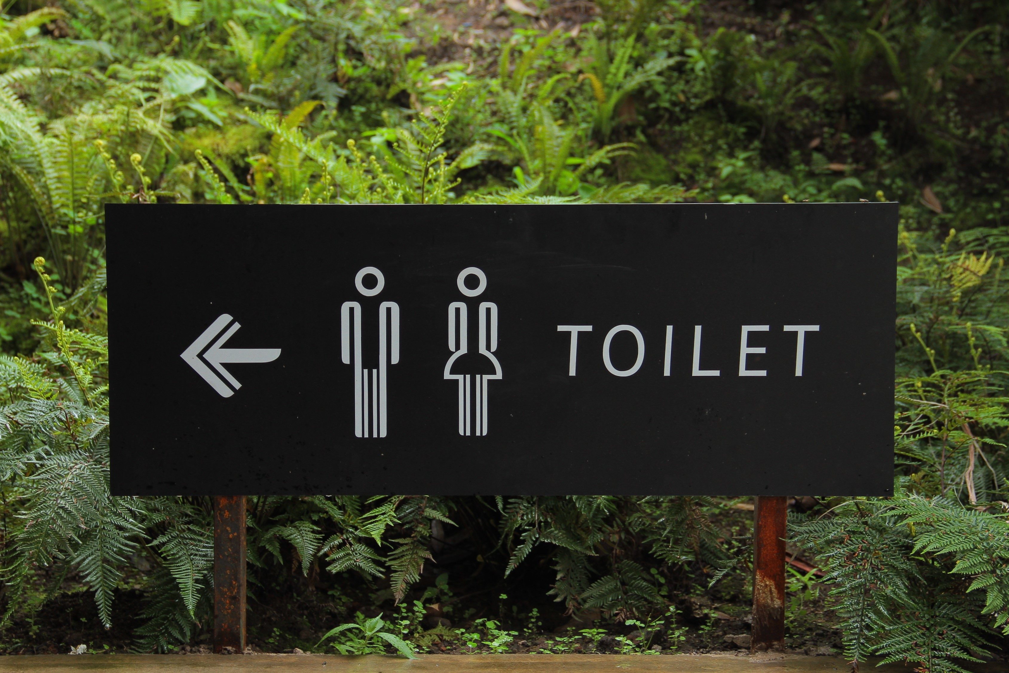 The Number Of Times You Pee Can Tell A Lot About Your Health. Check It Now