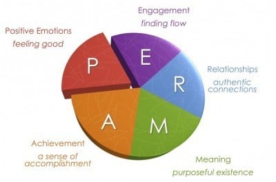&#8220;PERMA&#8221; a Simple Guide to Finding Your Happiness