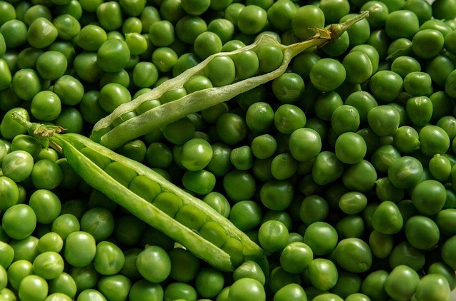 20 High Fibre Food That Cured My Constipation