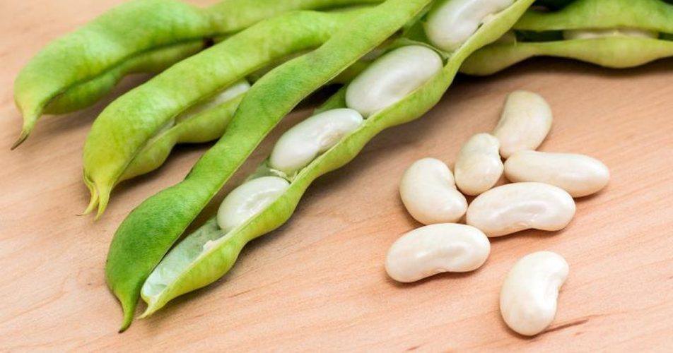 20 High Fibre Food That Cured My Constipation