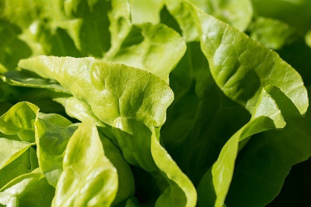 Top 10 Vitamin K Rich Foods That You Need To Know (and Include in Your Diet!)