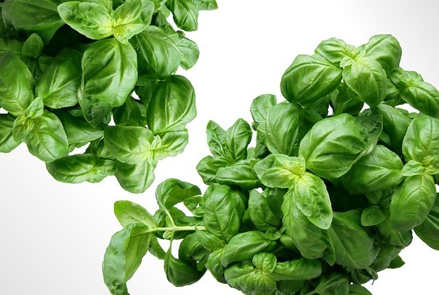 Top 10 Vitamin K Rich Foods That You Need To Know (and Include in Your Diet!)