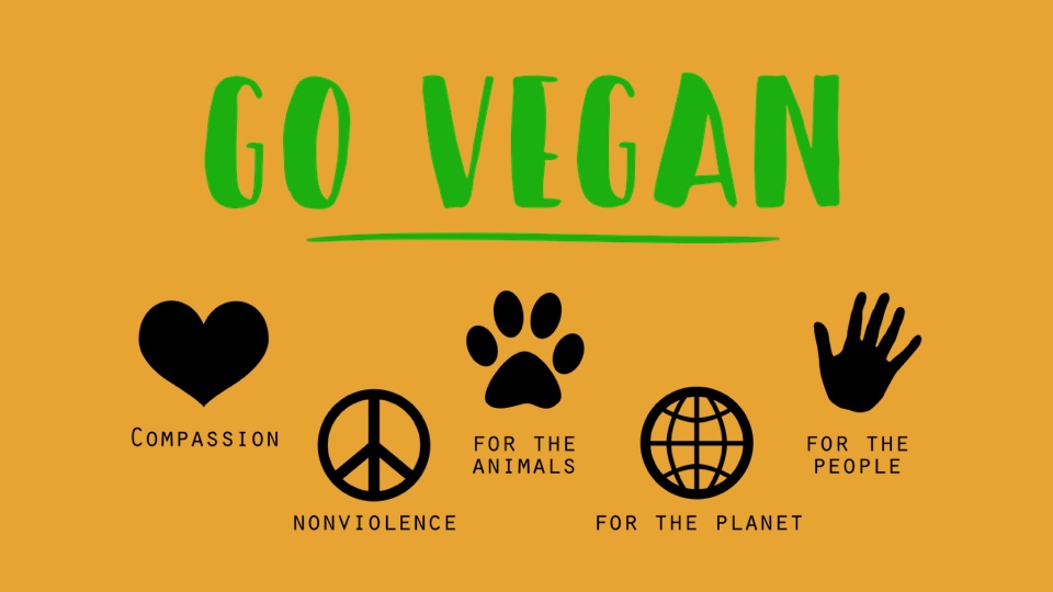 A Vegan Diet Is Not Only About Giving Up On Meat, It’s More Than That!