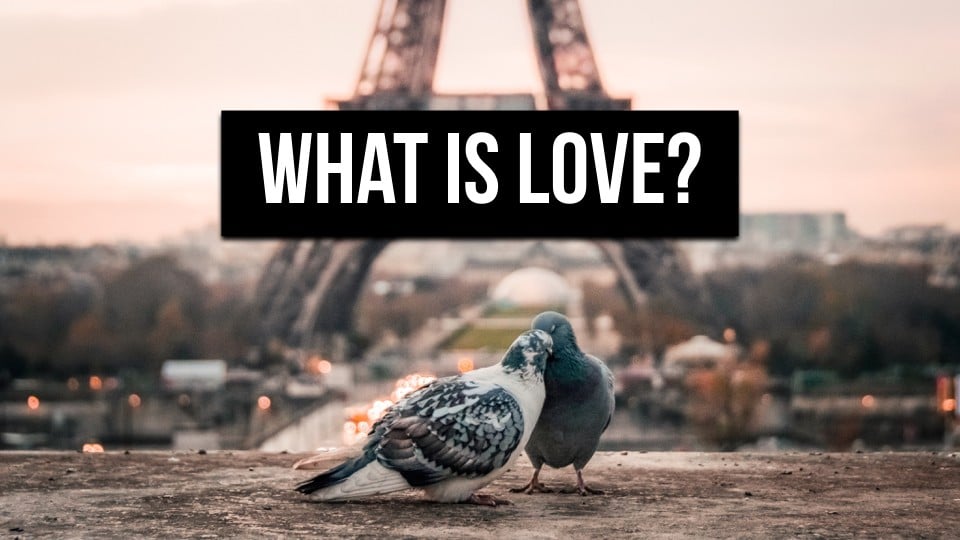 What We Think Love Is and What Love Really Is