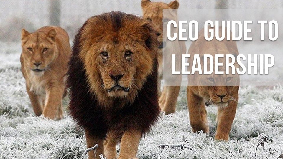 The CEO’s Guide to True Leadership