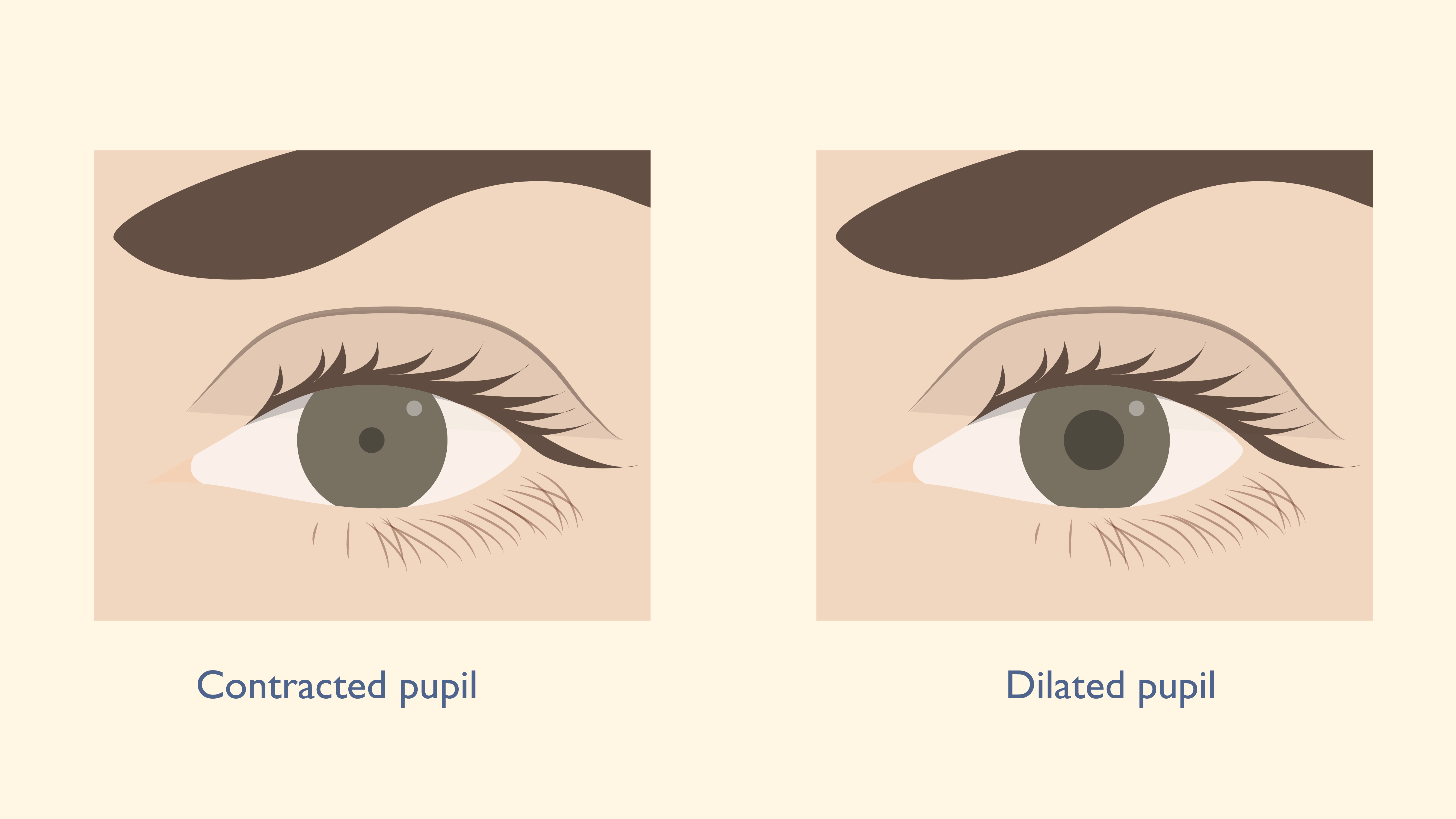 Subtle Eye Gestures That Can Help You Earn the Trust of Others