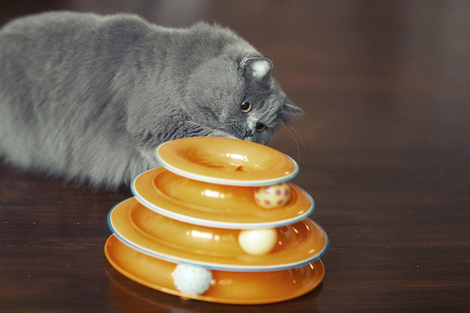 10 Cat Toys to Make Your Cat Love You So Much