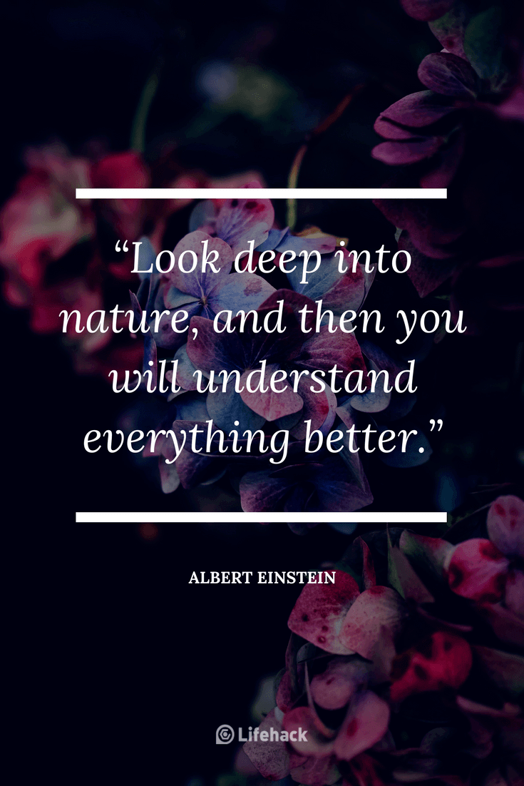 20 Insightful Albert Einstein Quotes That Will Change Your Mindset