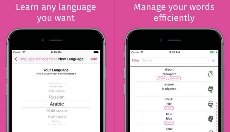 Learn a New Language Anywhere at Your Own pace with Wokabulary
