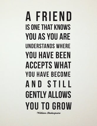 20 Friendship Quotes For Your Best Friend