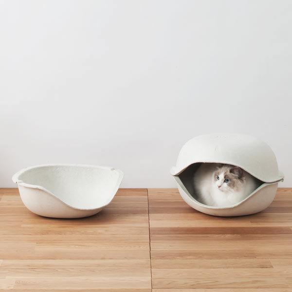 10 Must Get Accessories Your Beloved Cat Will Thank You For