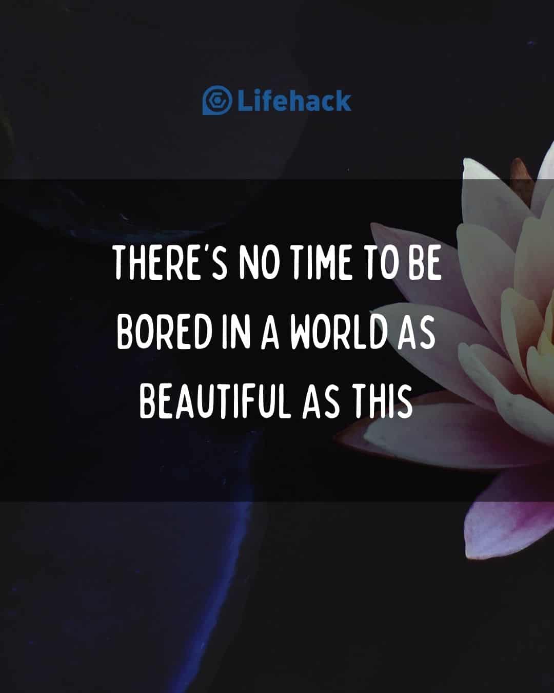 100 Inspirational Quotes That Will Make You Love Life Again