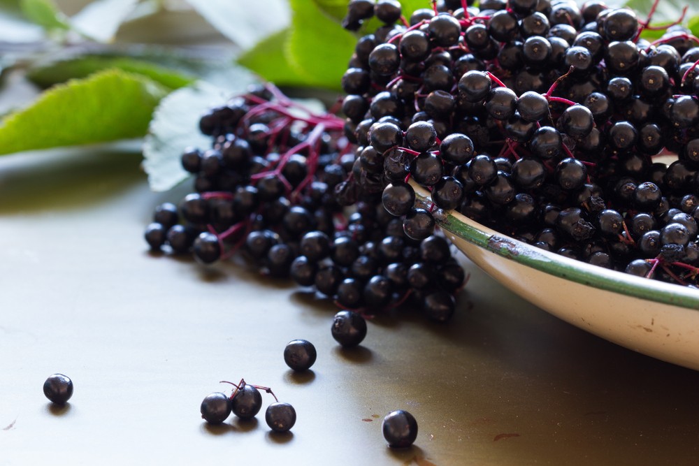 Acai Berry: Health benefits to Our Skin and Weight