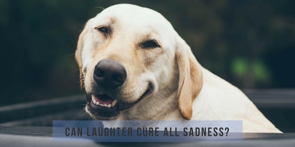 Can Laughter Cure All Sadness?