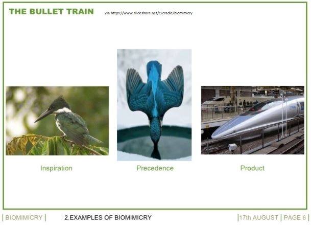 How to Emulate Life’s Genius: Introducing Biomimicry