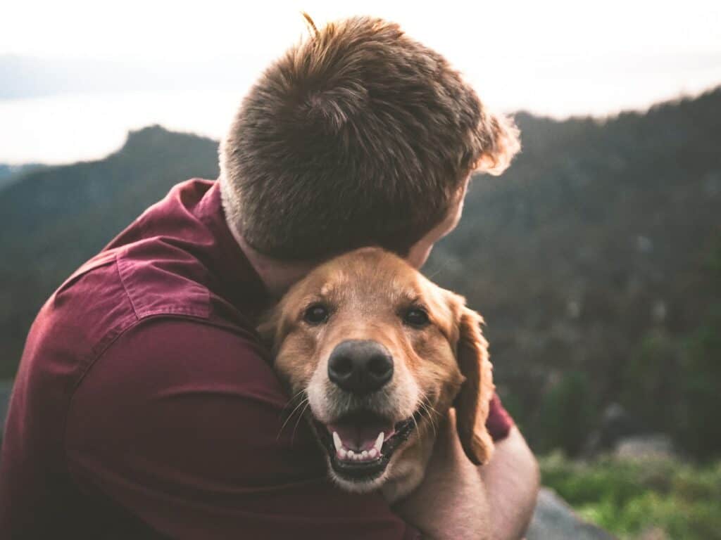 Benefits of Having a Pet: Why Keeping Pets Gives You Positive Energy