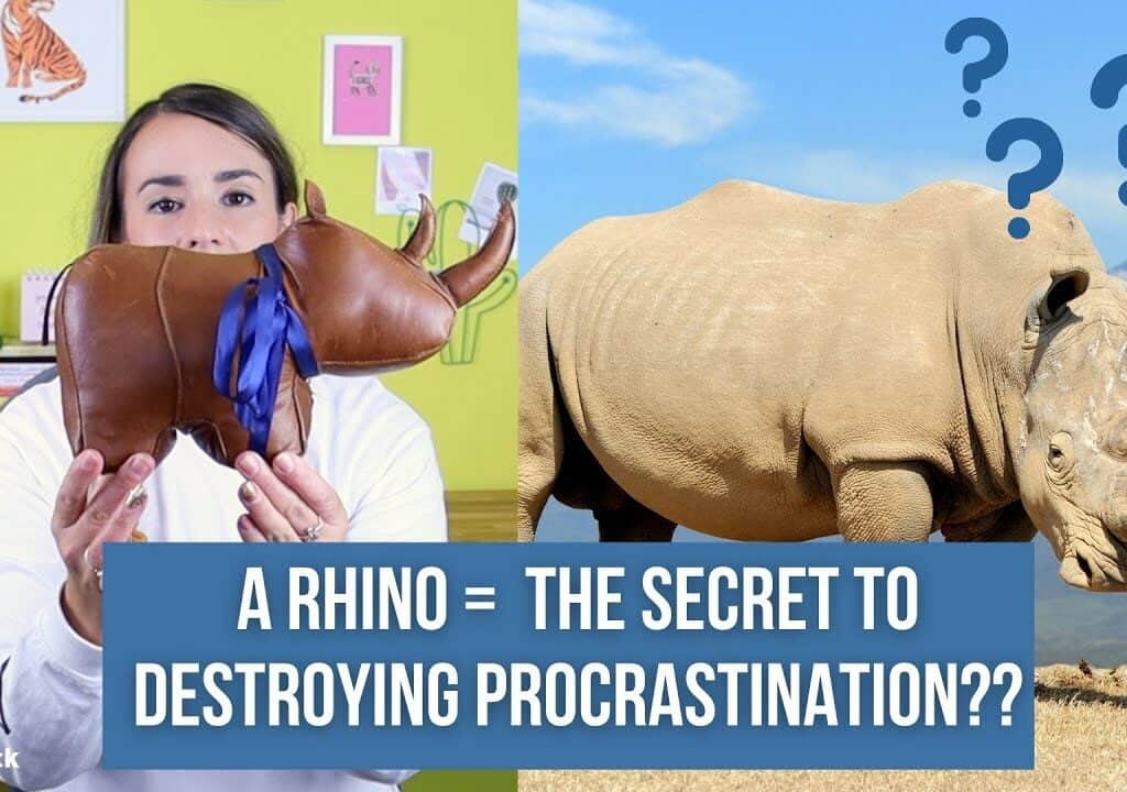 Want to Stop Procrastinating? Think Like a Rhino.