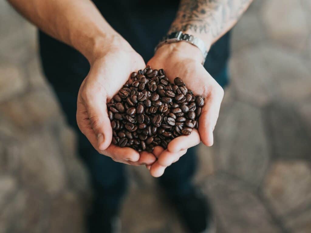 10 Best Coffee Beans That Will Energize You Every Morning