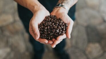 10 Best Coffee Beans That Will Energize You Every Morning