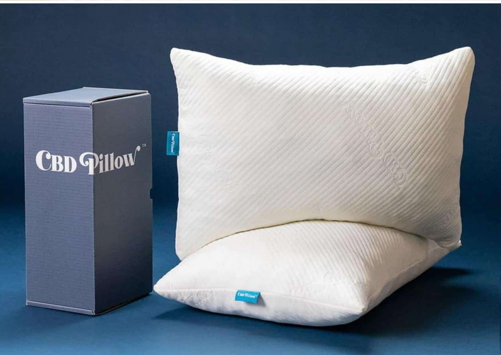 9 Best Pillows to Cradle Your Noggin for a Great Night’s Sleep