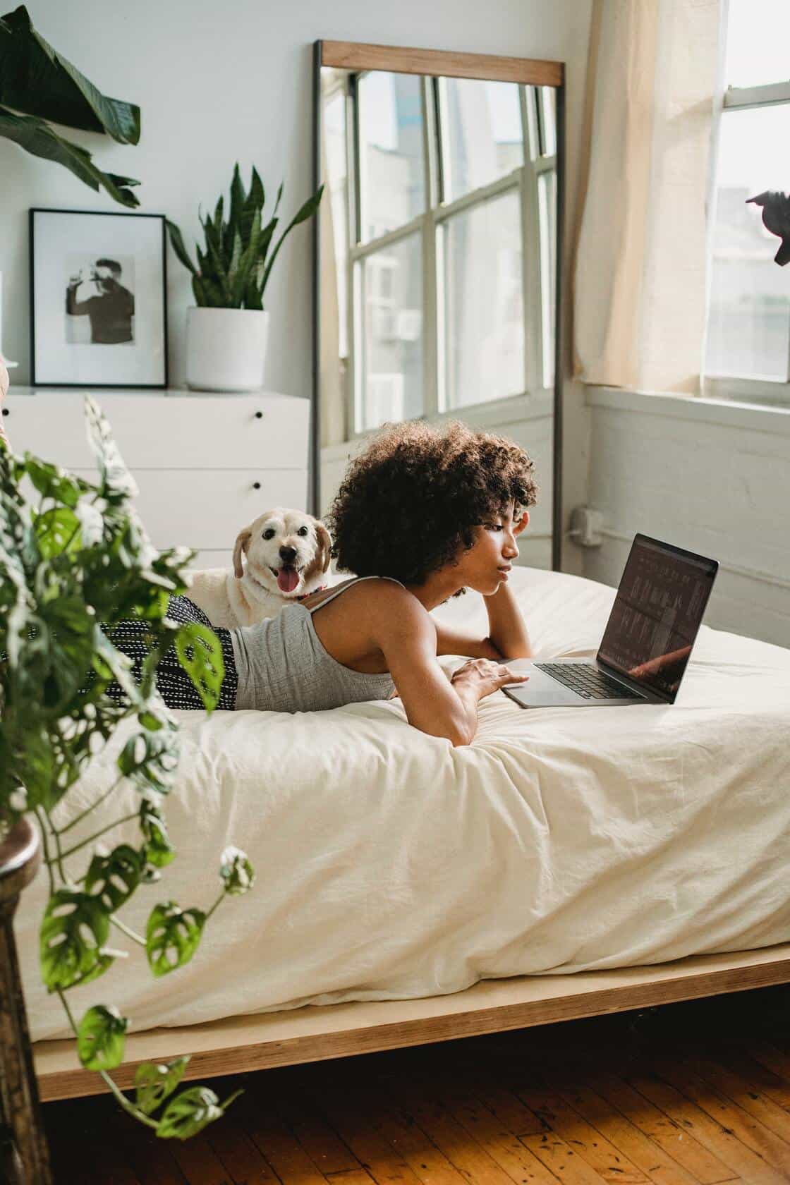 relaxed black woman using laptop on bed near dog