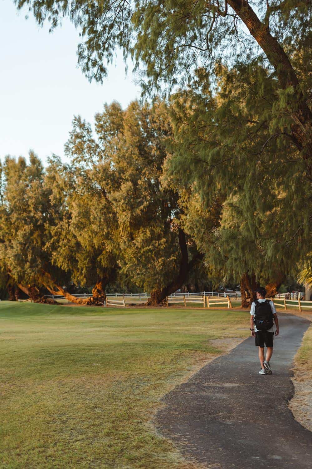 guy strolling along a park
