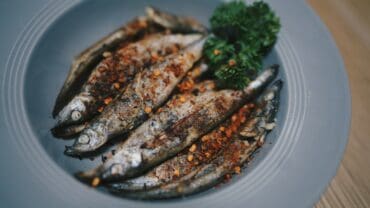 benefits of sardine
