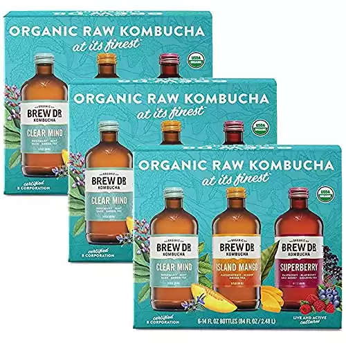 Gourmet Kitchn Organic Brew Dr Kombucha Variety Pack