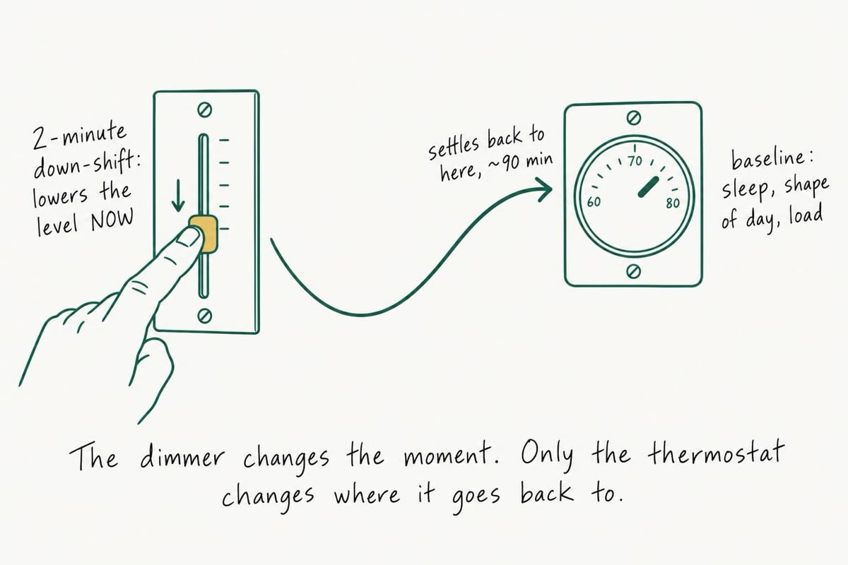 Line drawing of a dimmer slider being pushed down beside a round wall thermostat, with a curved arrow that dips and settles back to the thermostat setting after about 90 minutes: a two-minute down-shift lowers the level now, while sleep, the shape of the day, and load set where it returns.